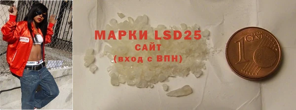 ПСИЛОЦИБИНОВЫЕ ГРИБЫ Ельня