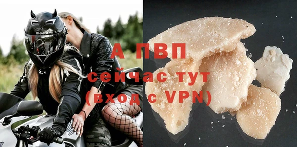 ПСИЛОЦИБИНОВЫЕ ГРИБЫ Ельня