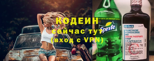 ПСИЛОЦИБИНОВЫЕ ГРИБЫ Ельня