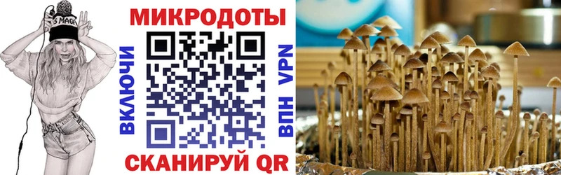 Псилоцибиновые грибы мухоморы  Купить закладки  Сортавала 